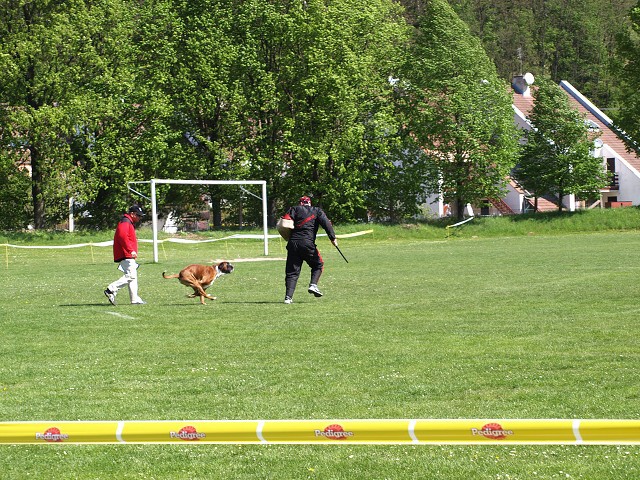 www.atibox.net * www.euroboxer.eu * www.boxergenealogia.eu